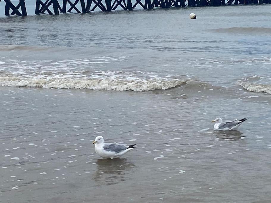 En Bord De Mer, Tous Commerces Animations Saint-Hilaire-de-Riez